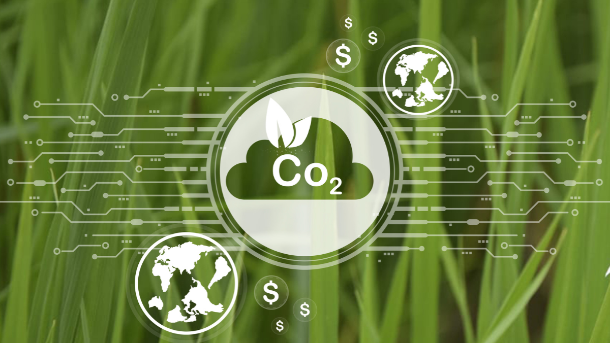 A Water Making Carbon Machine Puts Science to the Test