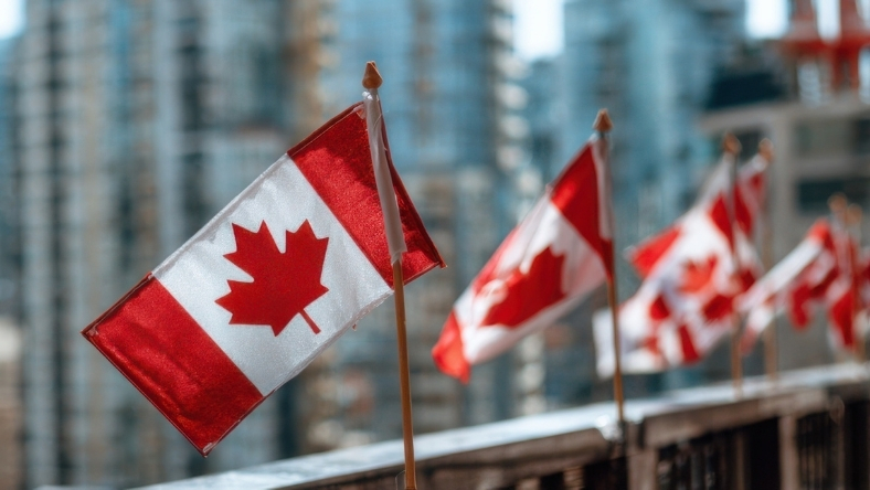 Row of Canadian flags against the city skyline